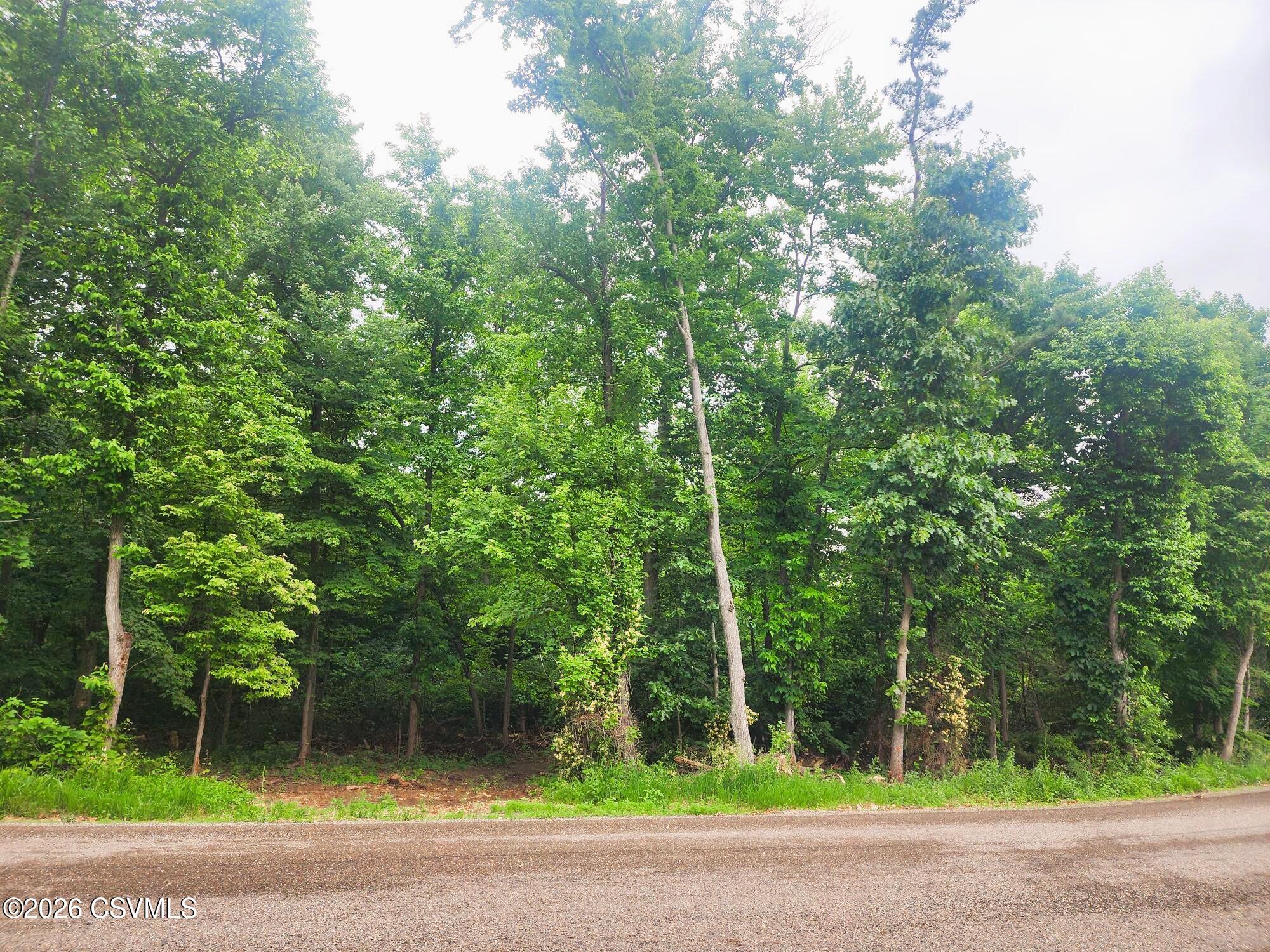 Lot #1 Shamrock Road Paxinos, PA 17860 - Photo 3 of 3 a view of a house with a small yard and large trees