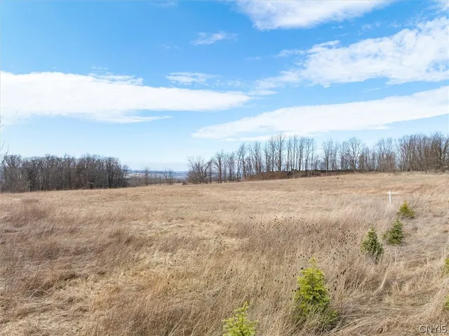 $89,900 | 0 East Lake Road, Homer, NY 13077