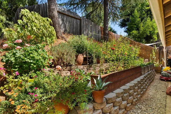 a view of a garden with plants