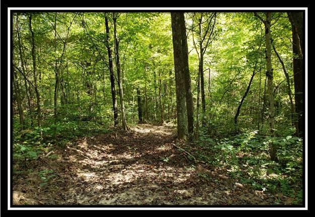 0 Pedigo Ridge Road, Unit TRACT 2) New Marshfield, OH 45766 - Photo 71 of 77 image071