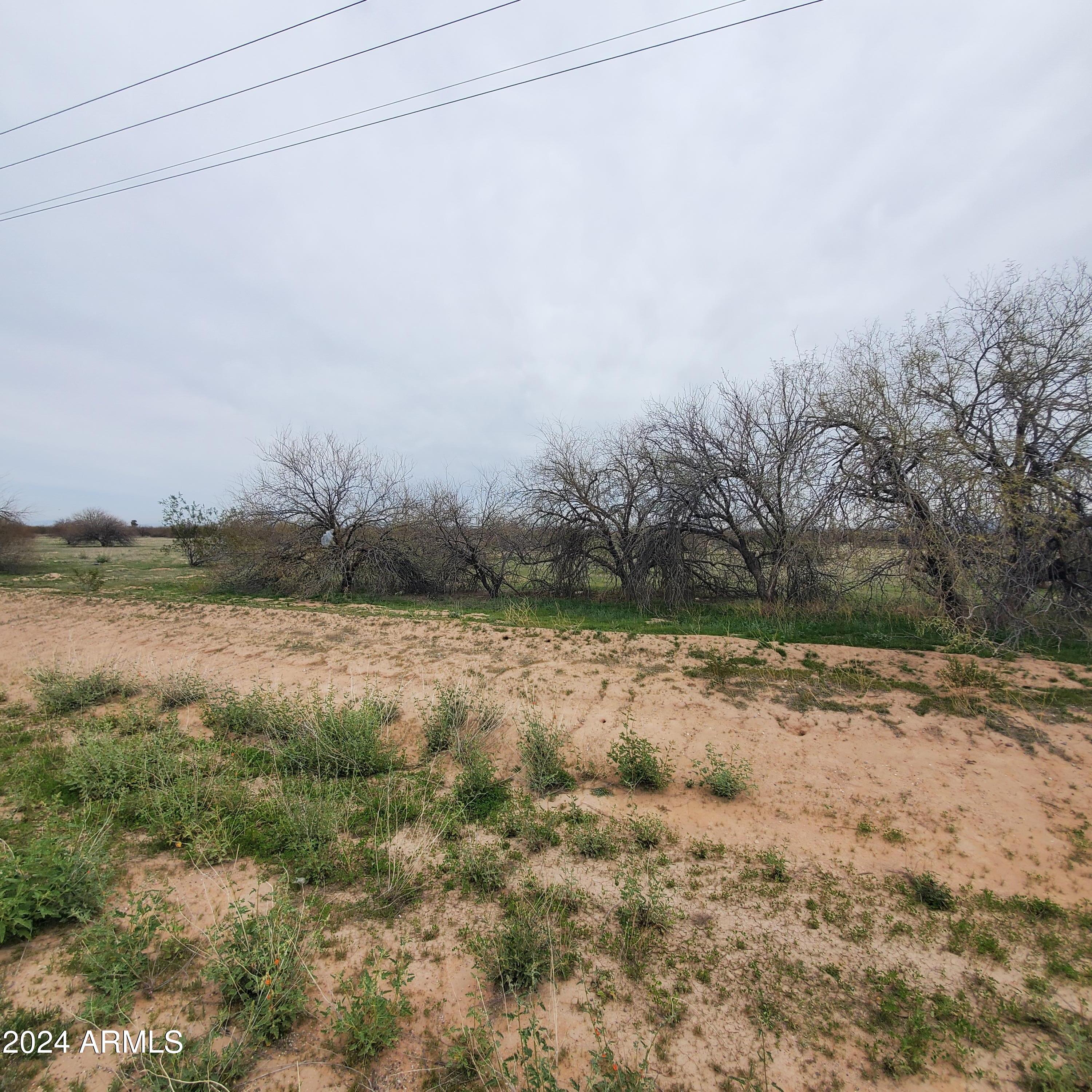 4615 North Estrella Road, Unit 2 Eloy, AZ 85131 - Photo 3 of 4 20240306_120813