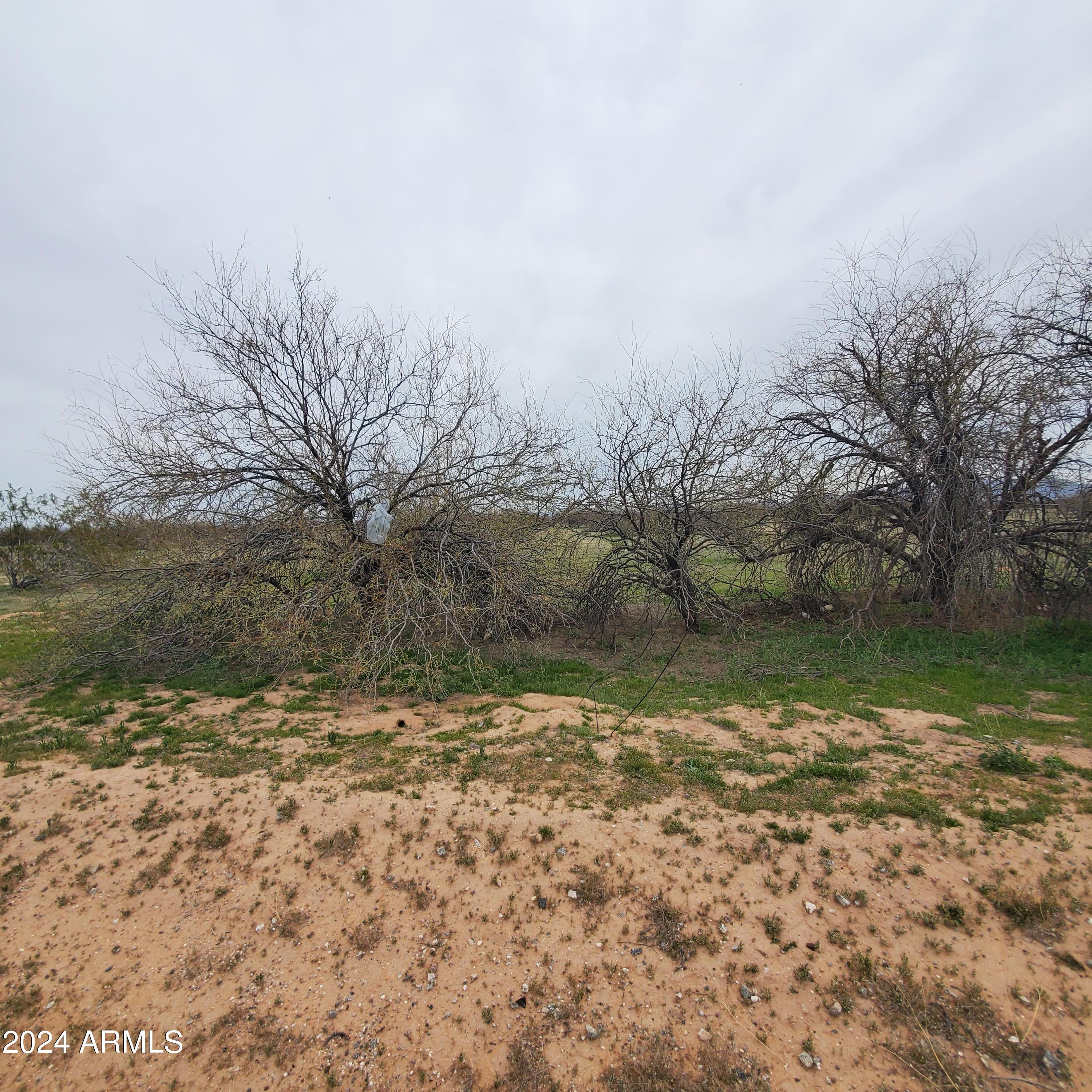 4615 North Estrella Road, Unit 2 Eloy, AZ 85131 - Photo 4 of 4 20240306_120747