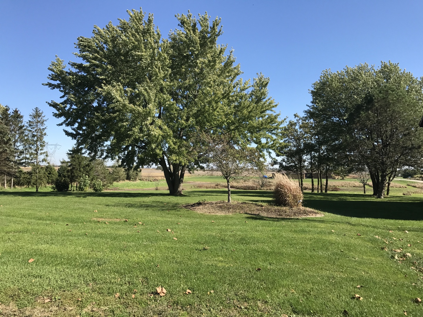 308 West Kentucky Road Beecher, IL 60401 - Photo 17 of 17
