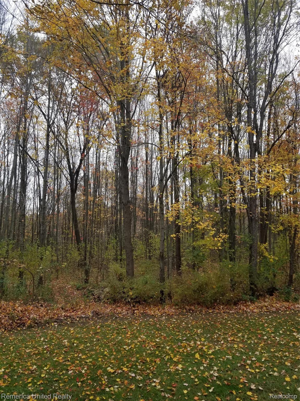 4144 Center Road Linden, MI 48451 - Photo 48 of 66 20191026_120450.jpg