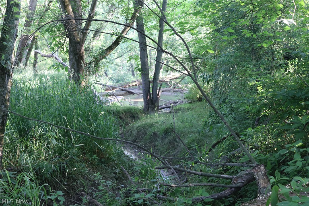 Walnut Creek Bottom Road Dundee, OH 44624 - Photo 10 of 15 Gallery Image 10