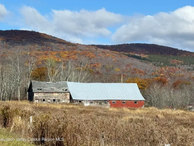 $225,000 | 0 Route 10 Ashland Ny 12407, Windham, NY 12496