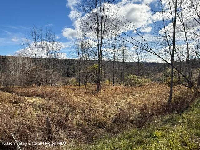 $225,000 | 0 Route 10 Ashland Ny 12407, Windham, NY 12496