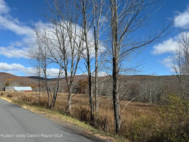 $225,000 | 0 Route 10 Ashland Ny 12407, Windham, NY 12496