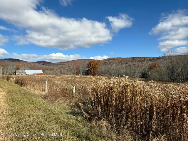 $225,000 | 0 Route 10 Ashland Ny 12407, Windham, NY 12496
