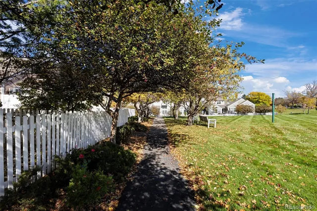 a view of yard with tree in back