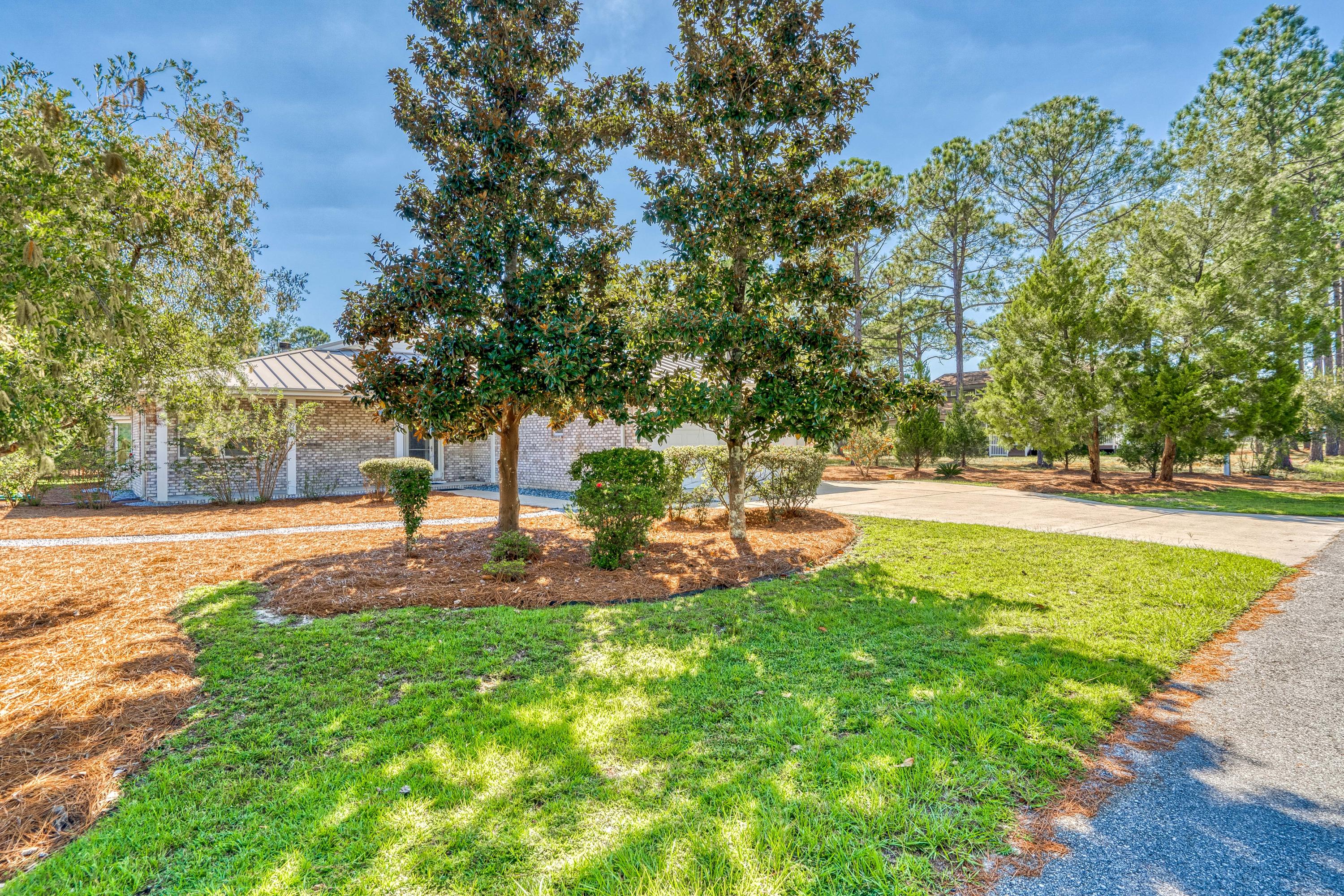 377 Ridge Road Santa Rosa Beach, FL 32459 - Photo 46 of 46 a view of a yard with palm trees