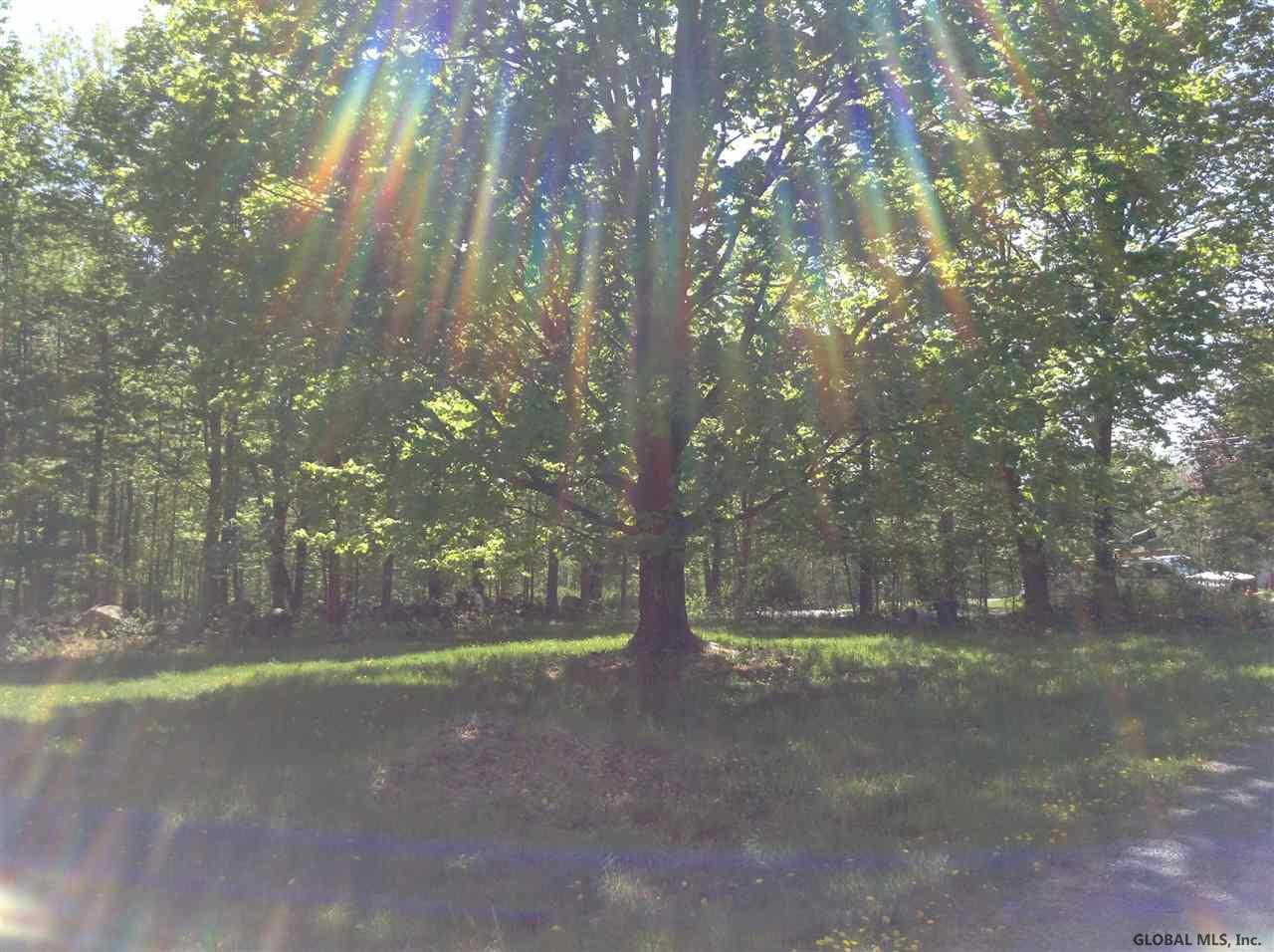 696 Blue Factory Road Poestenkill, NY 12018 - Photo 23 of 25 Photo 23
