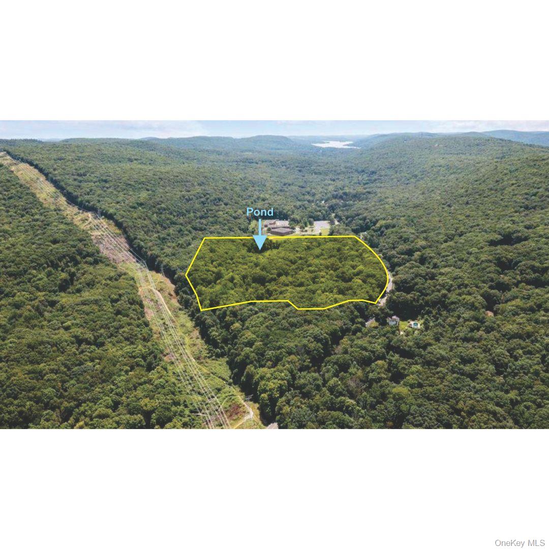 1187 Lakes Road Monroe, NY 10950 - Photo 8 of 11 a view of a city