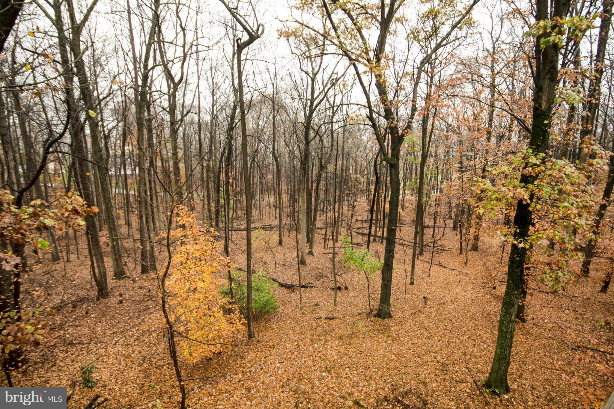 12895 Eagles View Road Phoenix, MD 21131 - Photo 24 of 26 Shaded Backyard