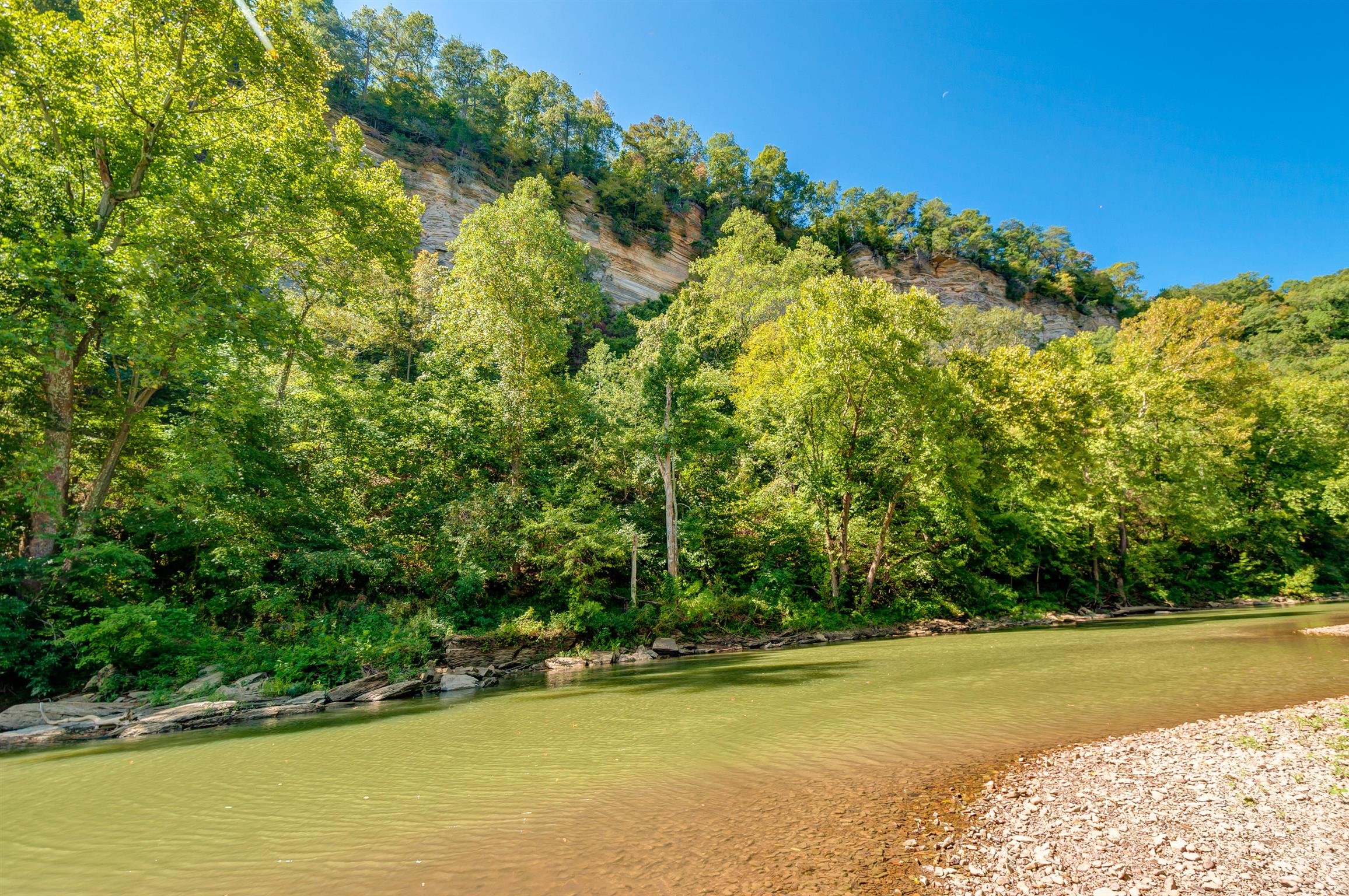 1255 Fred Gibbs Road White Bluff, TN 37187 - Photo 1 of 26 Gallery Image 1