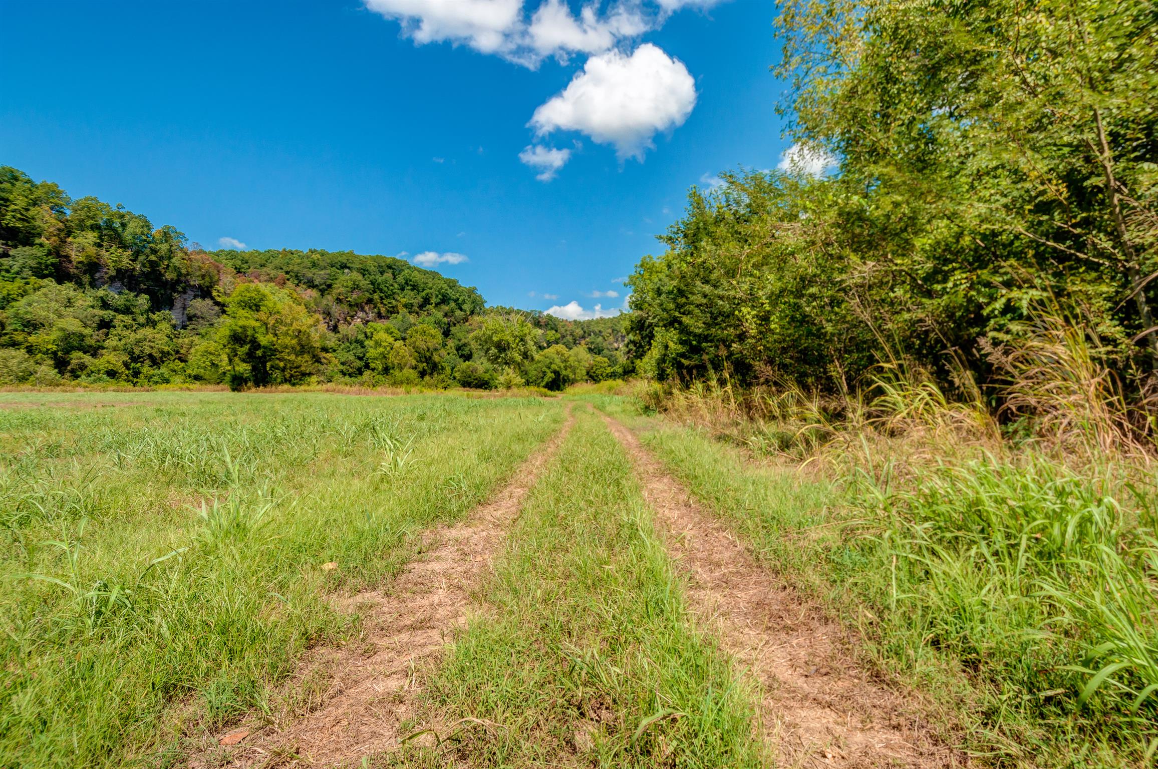 1255 Fred Gibbs Road White Bluff, TN 37187 - Photo 18 of 26 Gallery Image 18