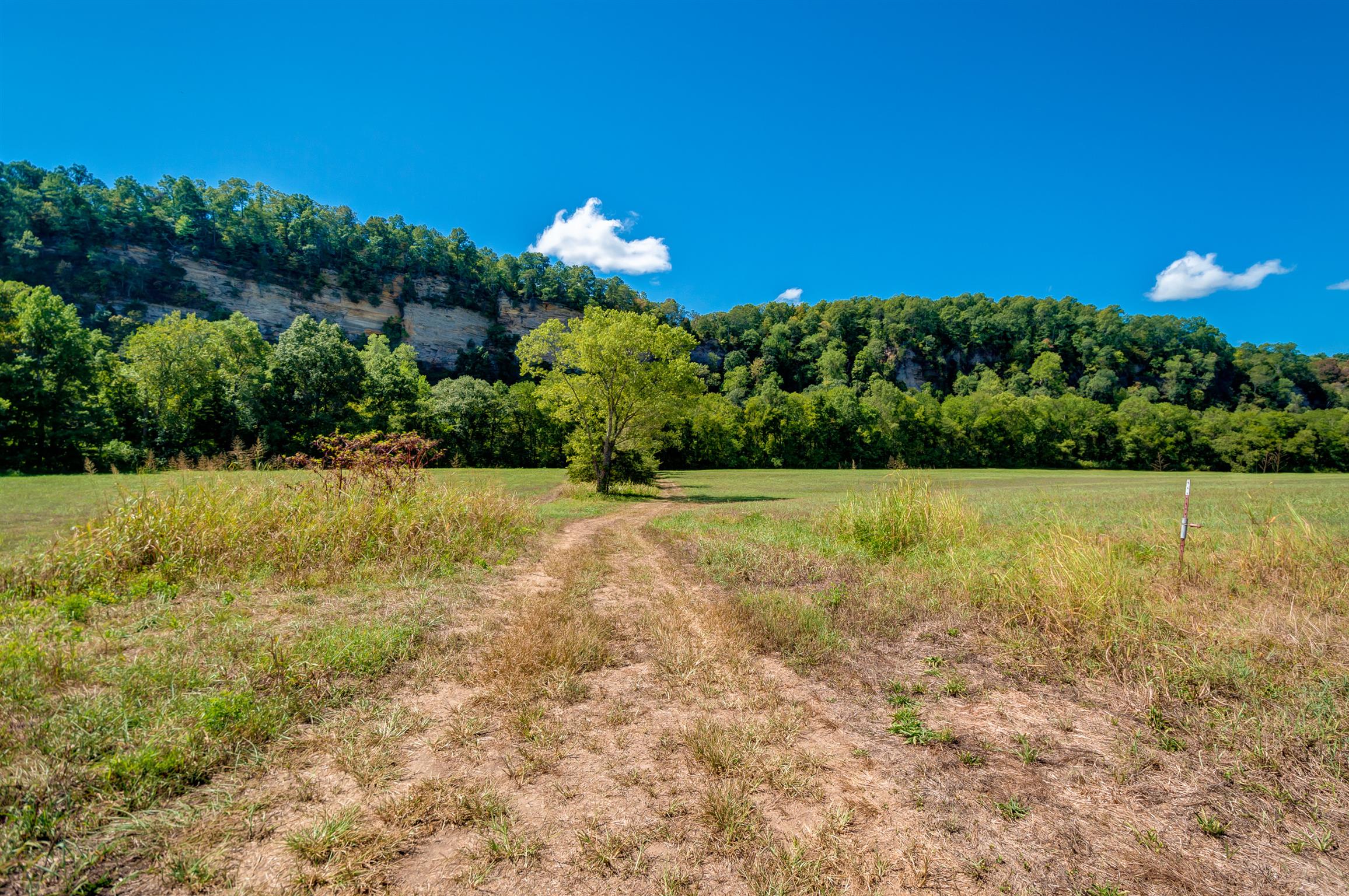 1255 Fred Gibbs Road White Bluff, TN 37187 - Photo 20 of 26 Gallery Image 20