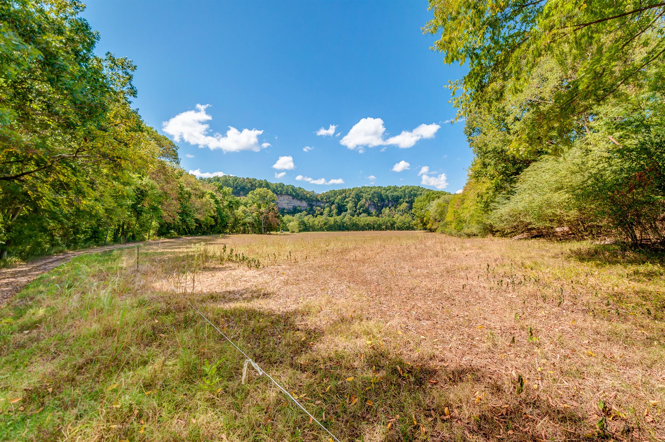 1255 Fred Gibbs Road White Bluff, TN 37187 - Photo 22 of 26 Gallery Image 22