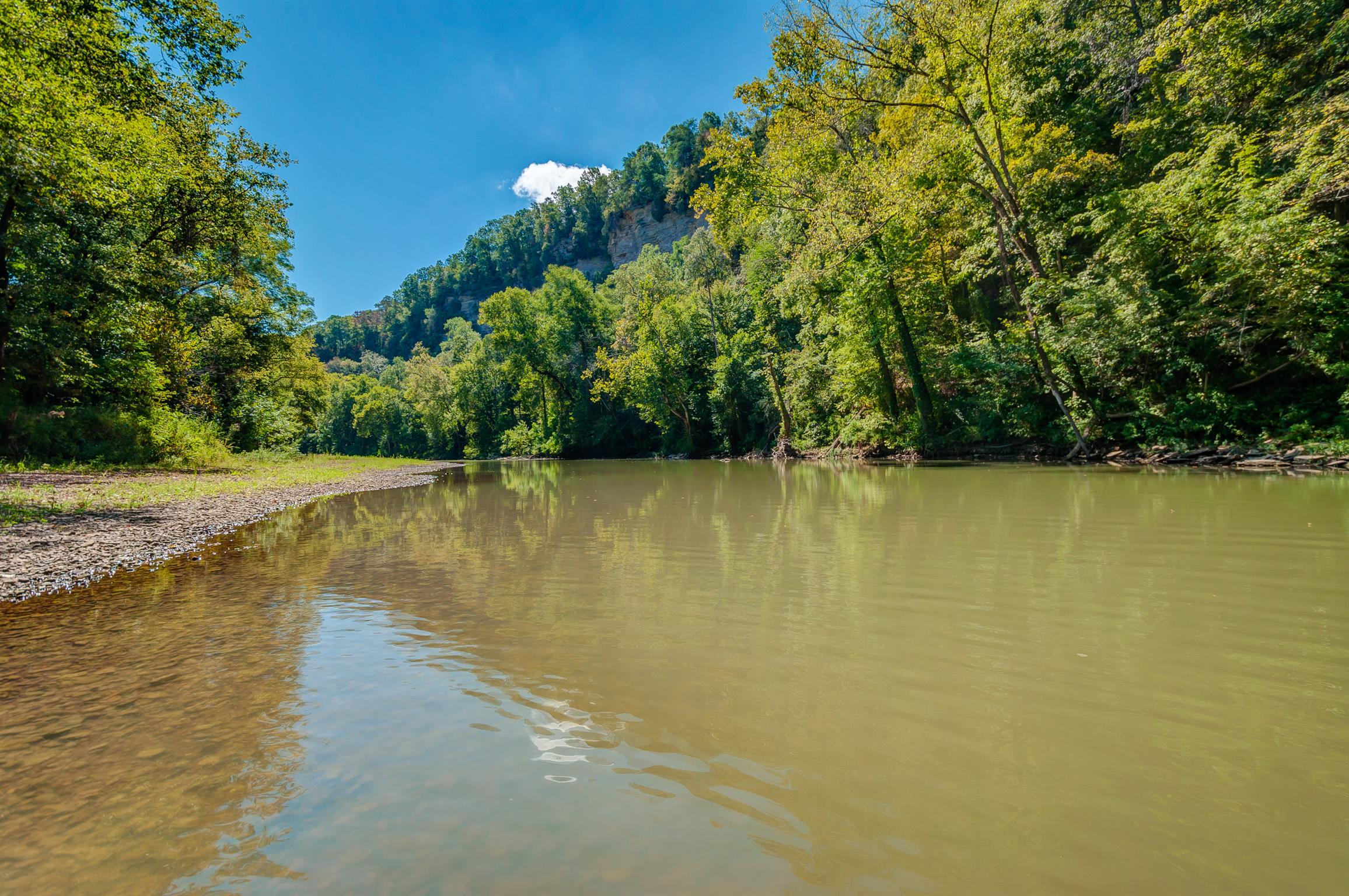 1255 Fred Gibbs Road White Bluff, TN 37187 - Photo 24 of 26 Gallery Image 24