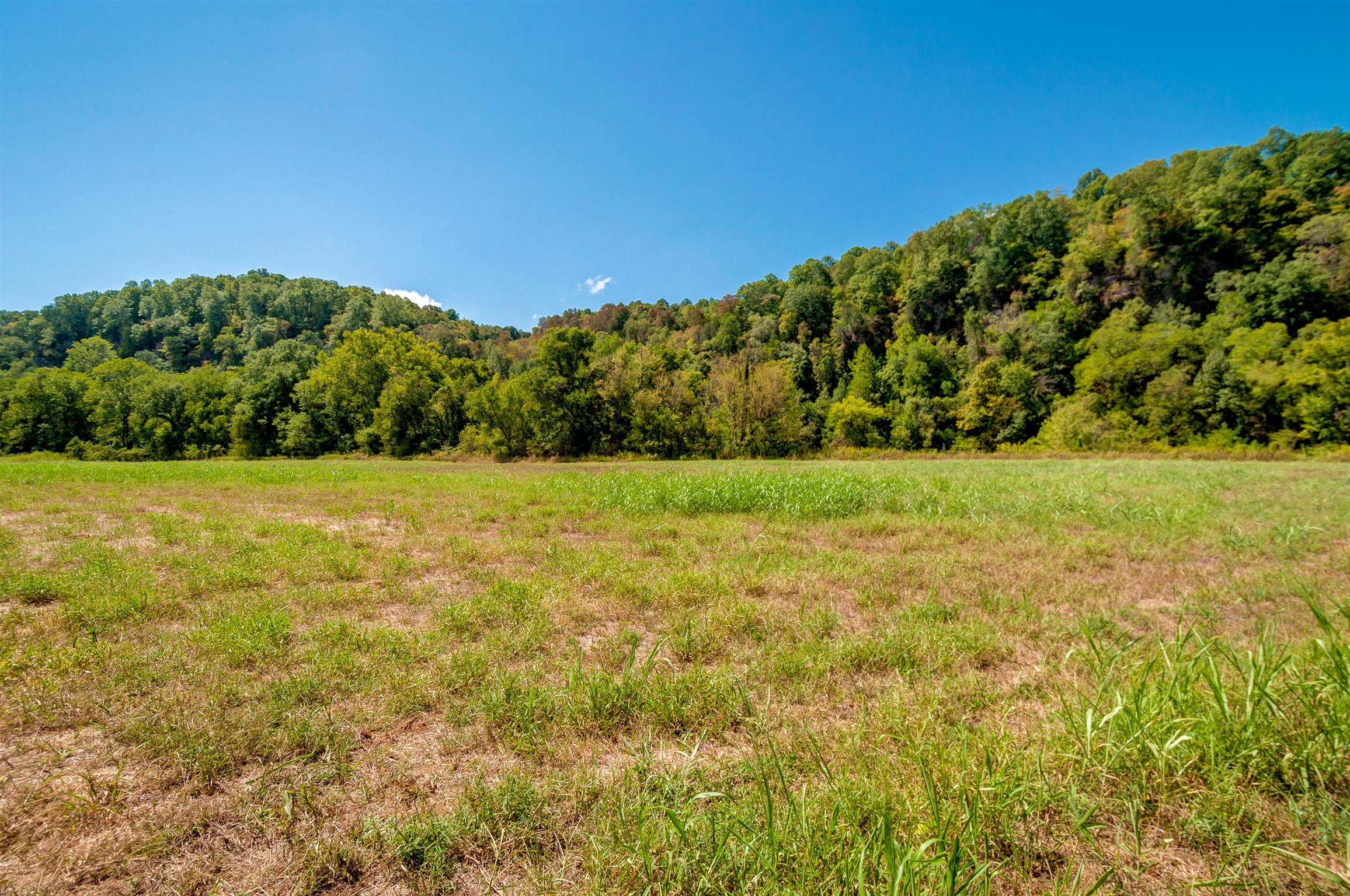 1255 Fred Gibbs Road White Bluff, TN 37187 - Photo 5 of 26 Gallery Image 5