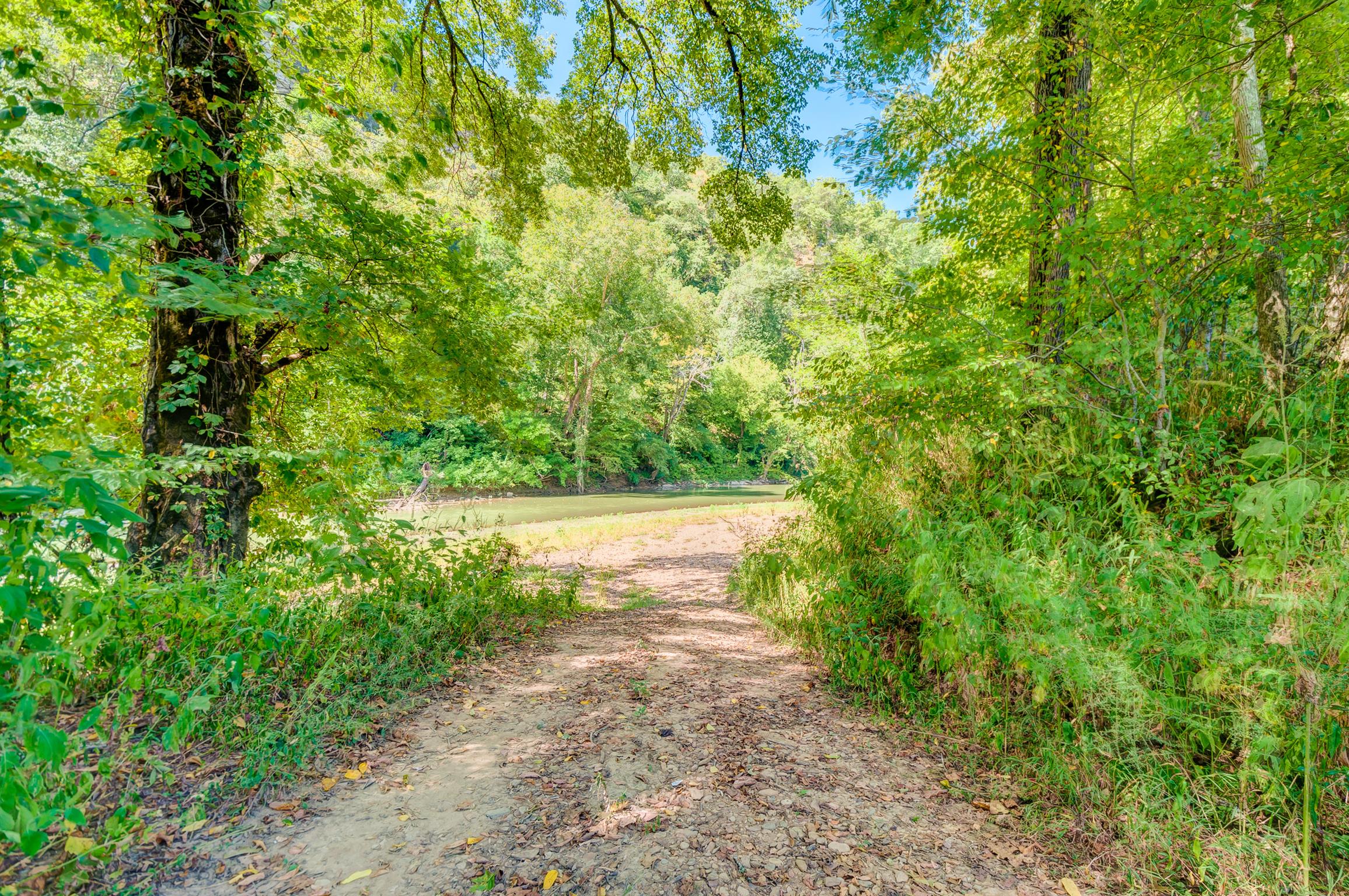 1255 Fred Gibbs Road White Bluff, TN 37187 - Photo 6 of 26 Gallery Image 6