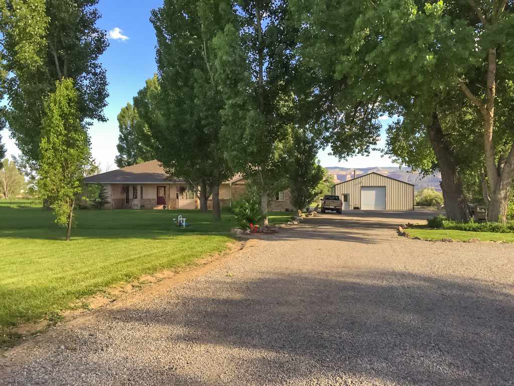 1677 L Road Fruita, CO 81521 - Photo 3 of 42 a yellow house with trees in front of it