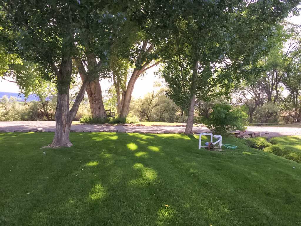 1677 L Road Fruita, CO 81521 - Photo 33 of 42 a view of yard with green space
