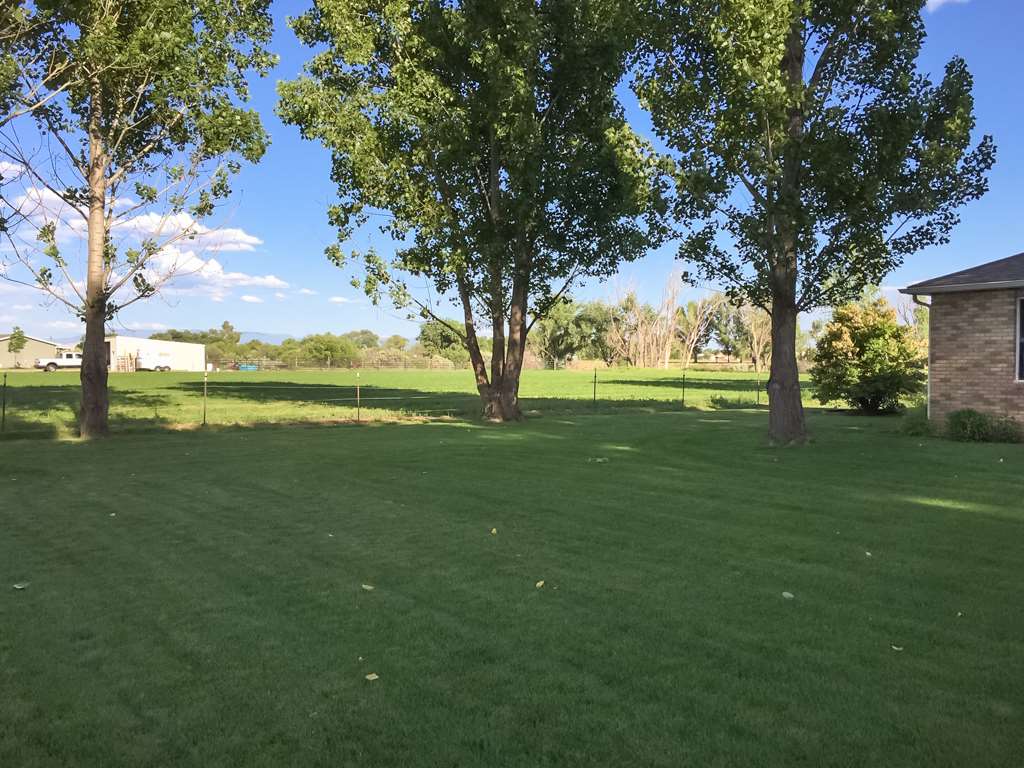1677 L Road Fruita, CO 81521 - Photo 36 of 42 a view of outdoor space with deck and trees