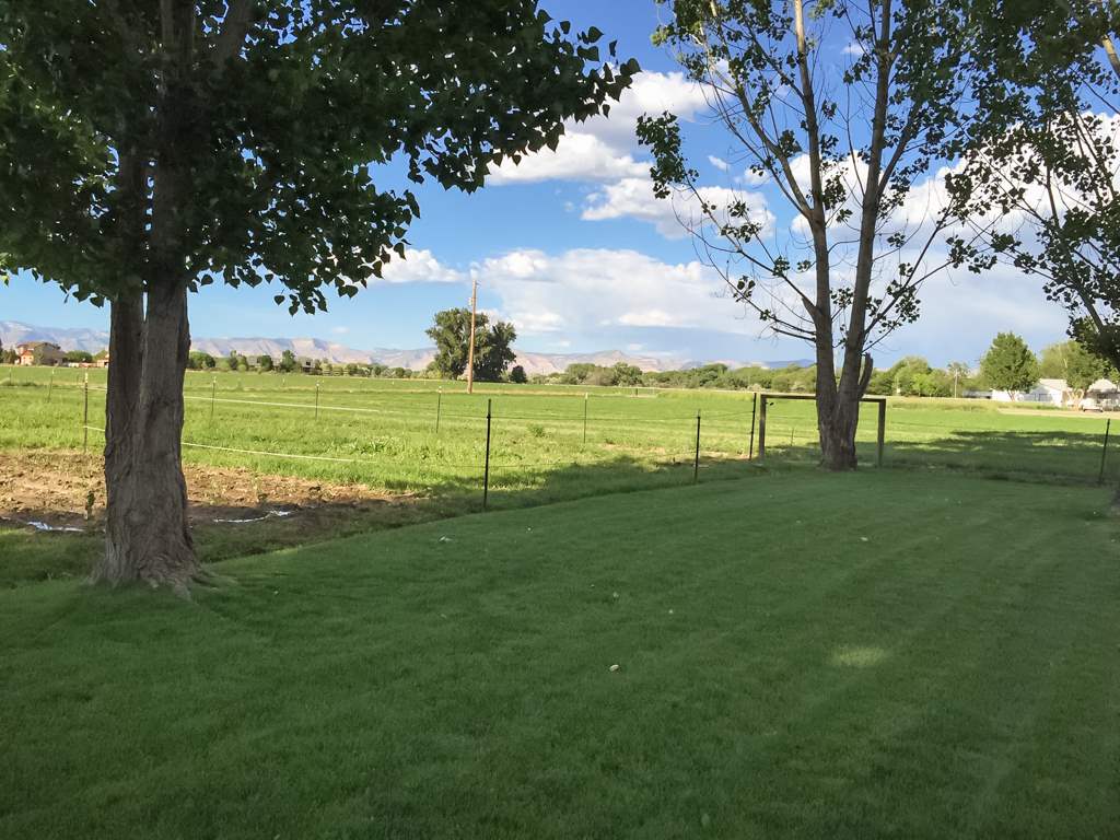 1677 L Road Fruita, CO 81521 - Photo 37 of 42 a view of an ocean from a yard