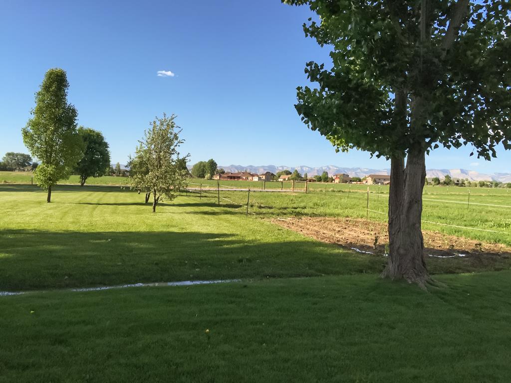1677 L Road Fruita, CO 81521 - Photo 38 of 42