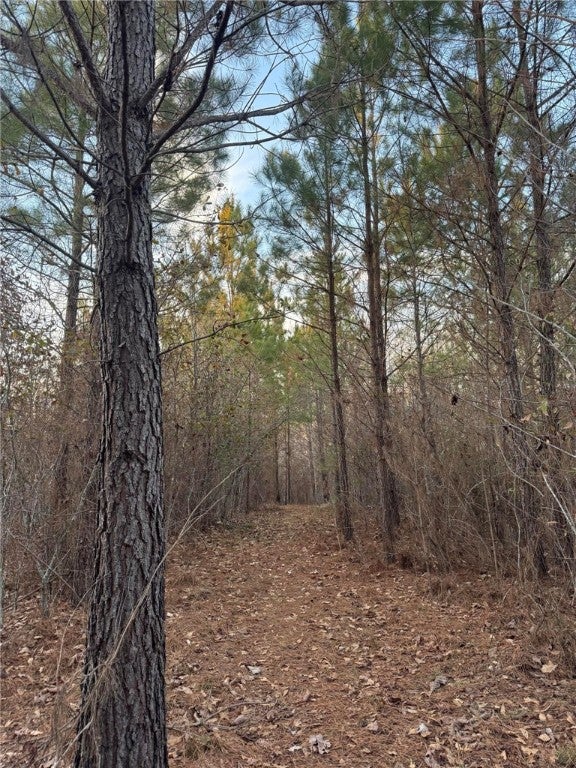2 Old Columbus Road Opelika, AL 36804 - Photo 13 of 13 Gallery Image 13