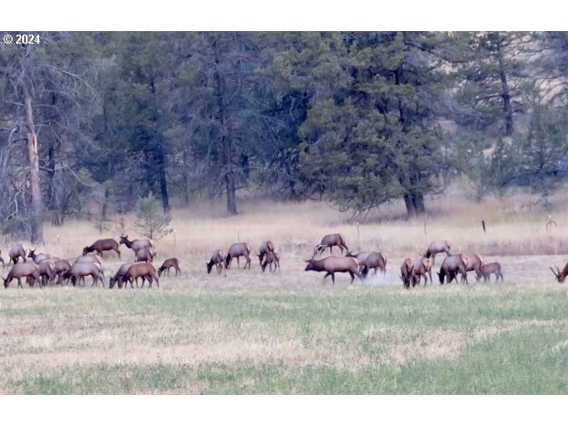 43174 Cupper Creek Road Kimberly, OR 97848 - Photo 3 of 48