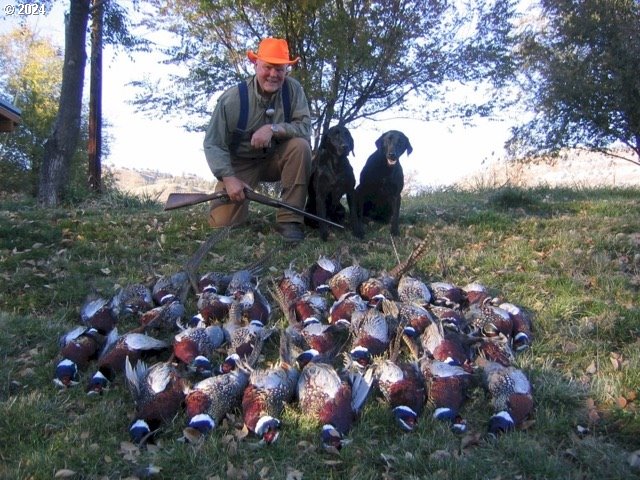 43174 Cupper Creek Road Kimberly, OR 97848 - Photo 46 of 48 a front view of a house with a yard and garden