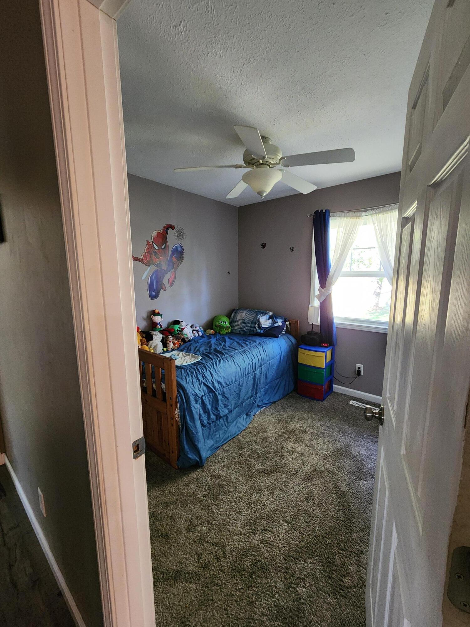 7816 South Ainger Road Olivet, MI 49076 - Photo 12 of 18 20250928_164803