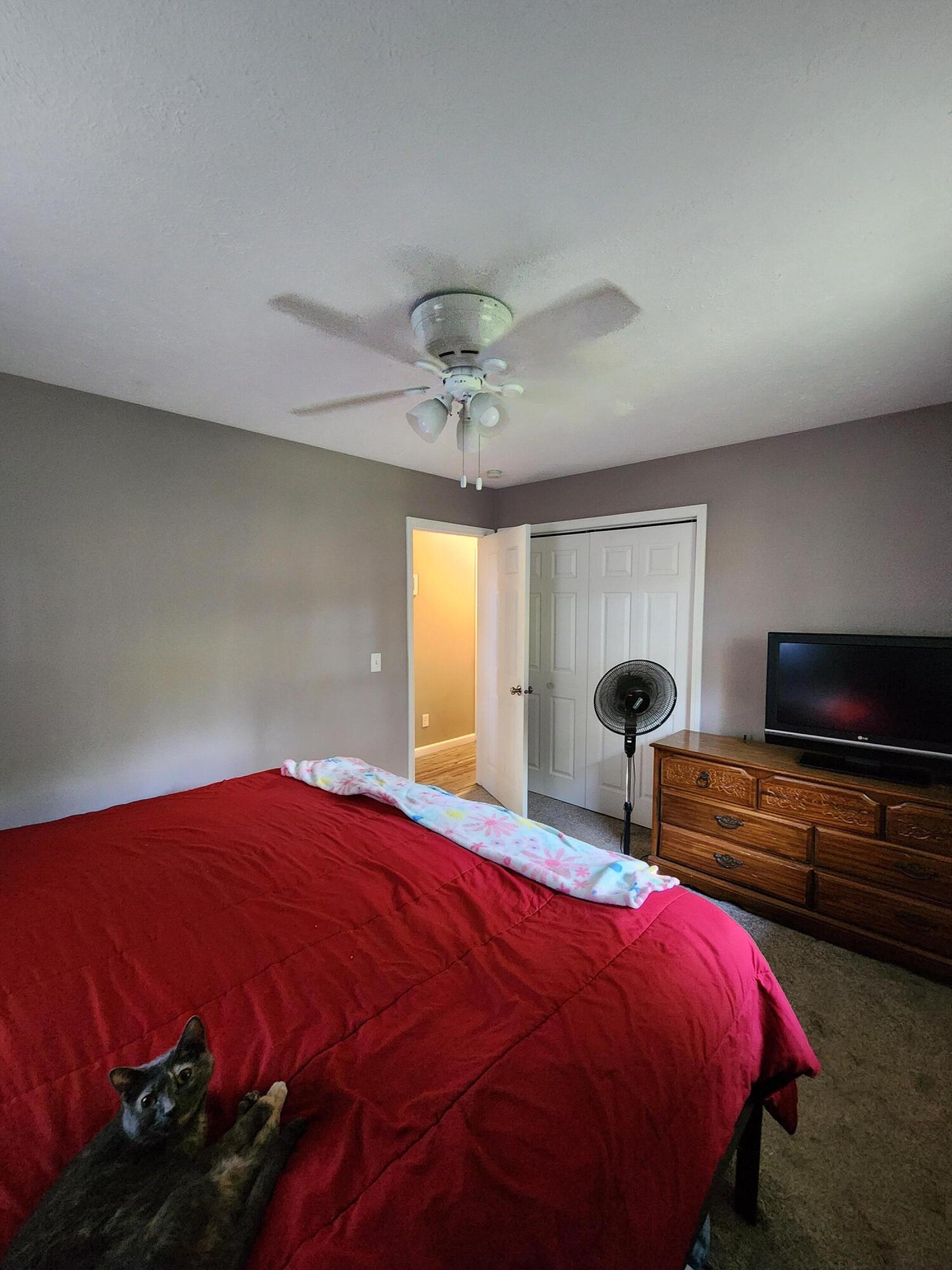 7816 South Ainger Road Olivet, MI 49076 - Photo 14 of 18 20250928_164941