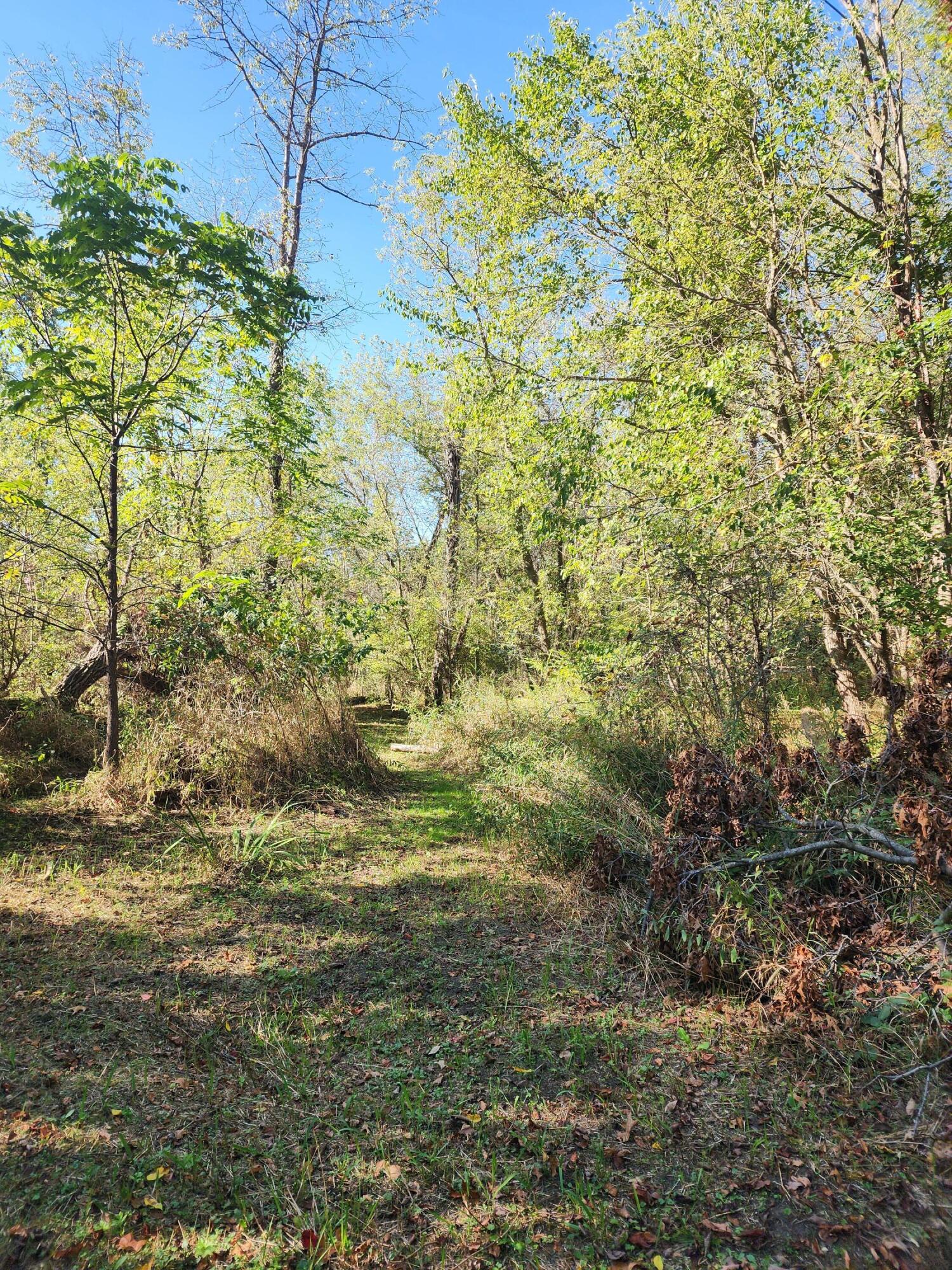7816 South Ainger Road Olivet, MI 49076 - Photo 4 of 18 20250928_161814