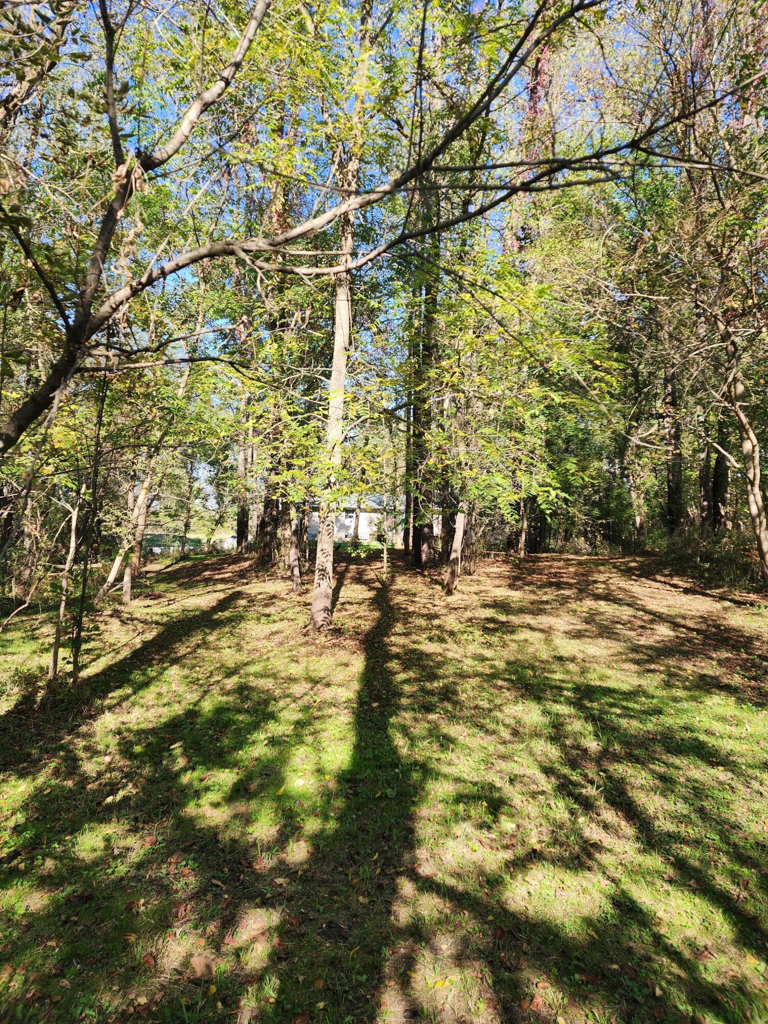 7816 South Ainger Road Olivet, MI 49076 - Photo 5 of 18 20250928_161753