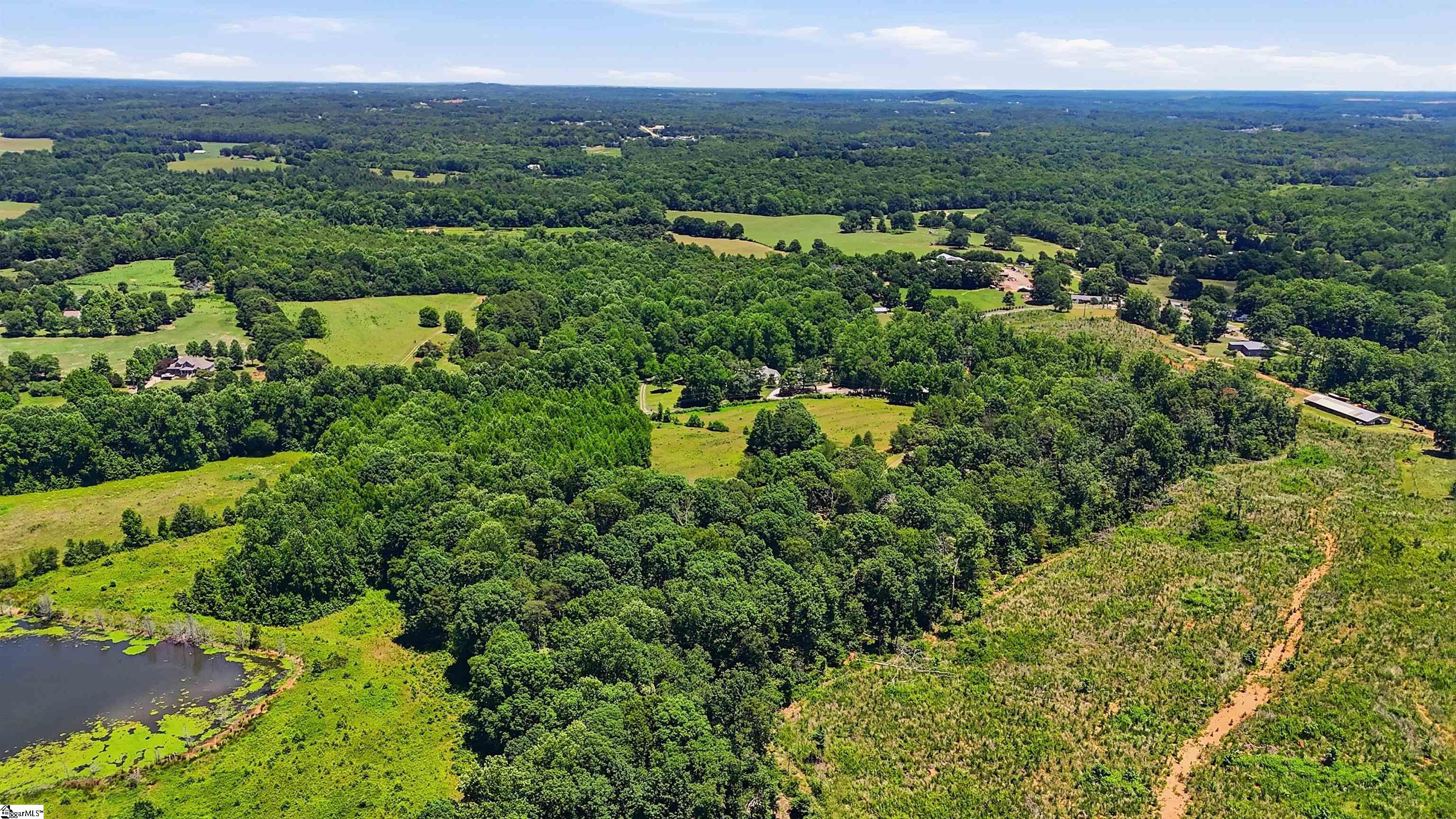 4453 Jug Factory Road Greer, SC 29651 - Photo 9 of 13