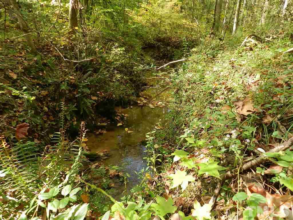 0 Charlie Carr Road Roxboro, NC 27574 - Photo 11 of 17