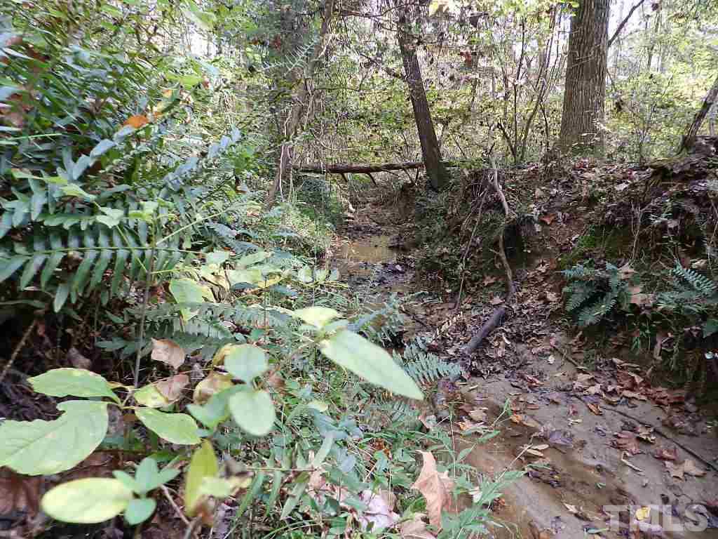 0 Charlie Carr Road Roxboro, NC 27574 - Photo 12 of 17