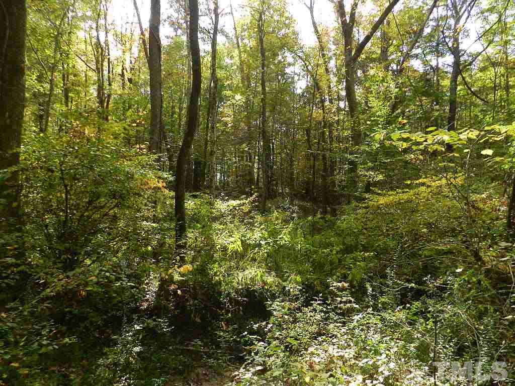 0 Charlie Carr Road Roxboro, NC 27574 - Photo 13 of 17