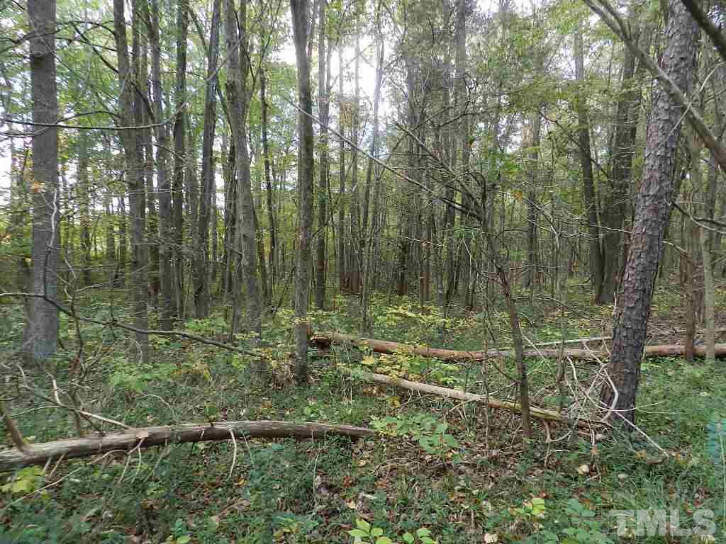 0 Charlie Carr Road Roxboro, NC 27574 - Photo 16 of 17