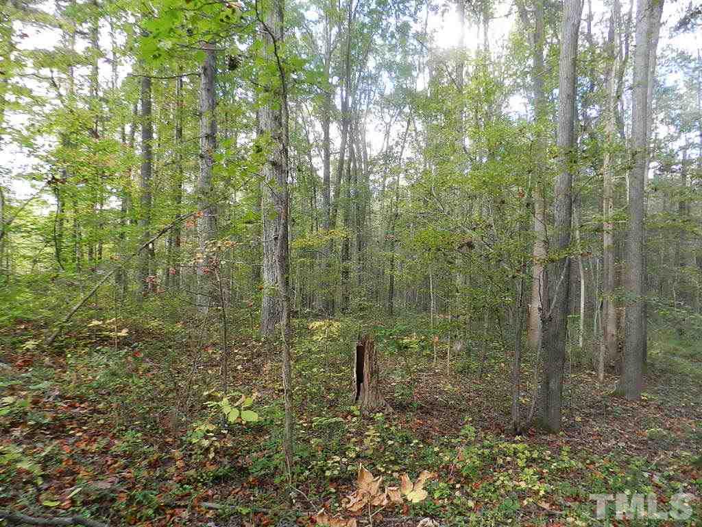 0 Charlie Carr Road Roxboro, NC 27574 - Photo 17 of 17