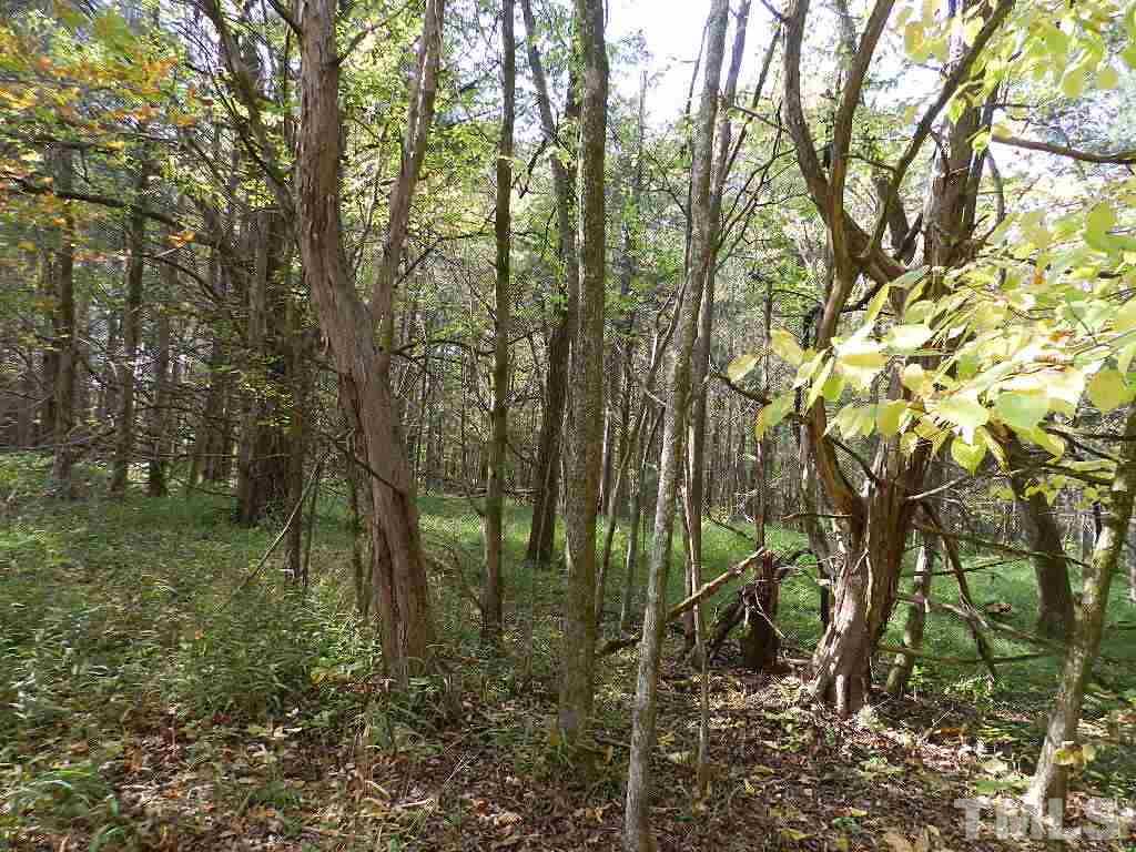 0 Charlie Carr Road Roxboro, NC 27574 - Photo 9 of 17
