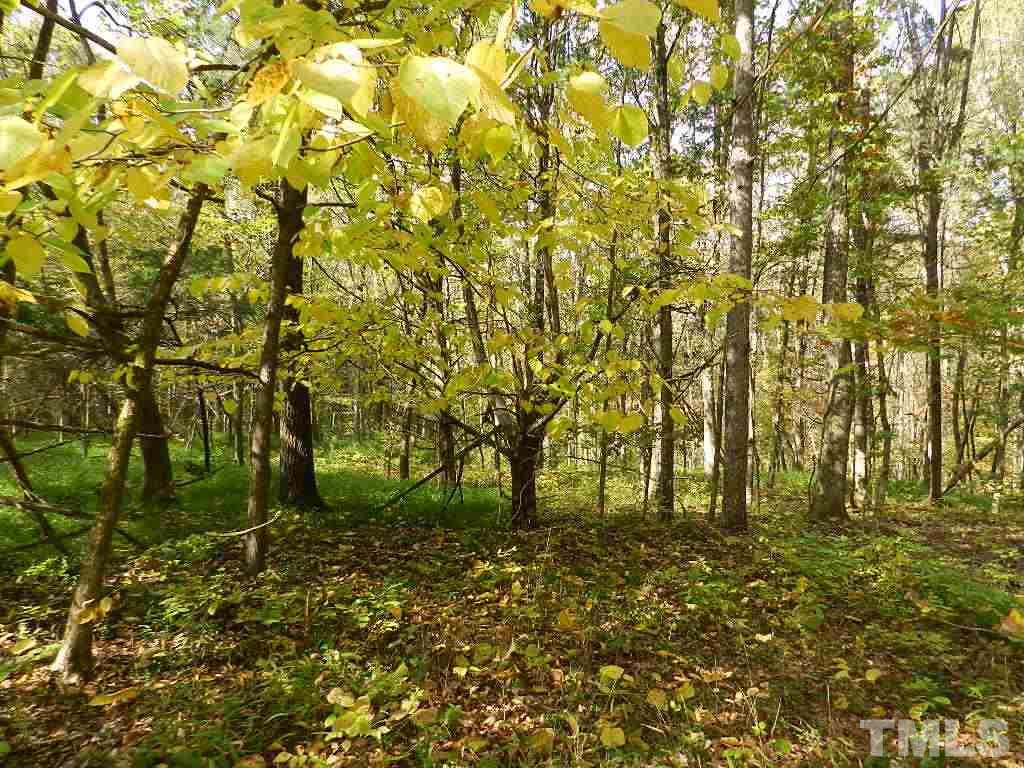 0 Charlie Carr Road Roxboro, NC 27574 - Photo 10 of 17