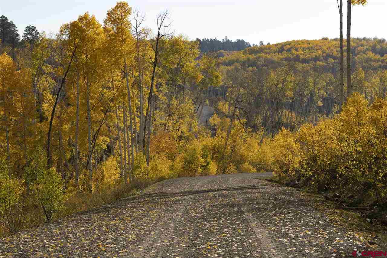 Lot 6 Sage Grouse Road Placerville, CO 81430 - Photo 4 of 10 Gallery Image 4