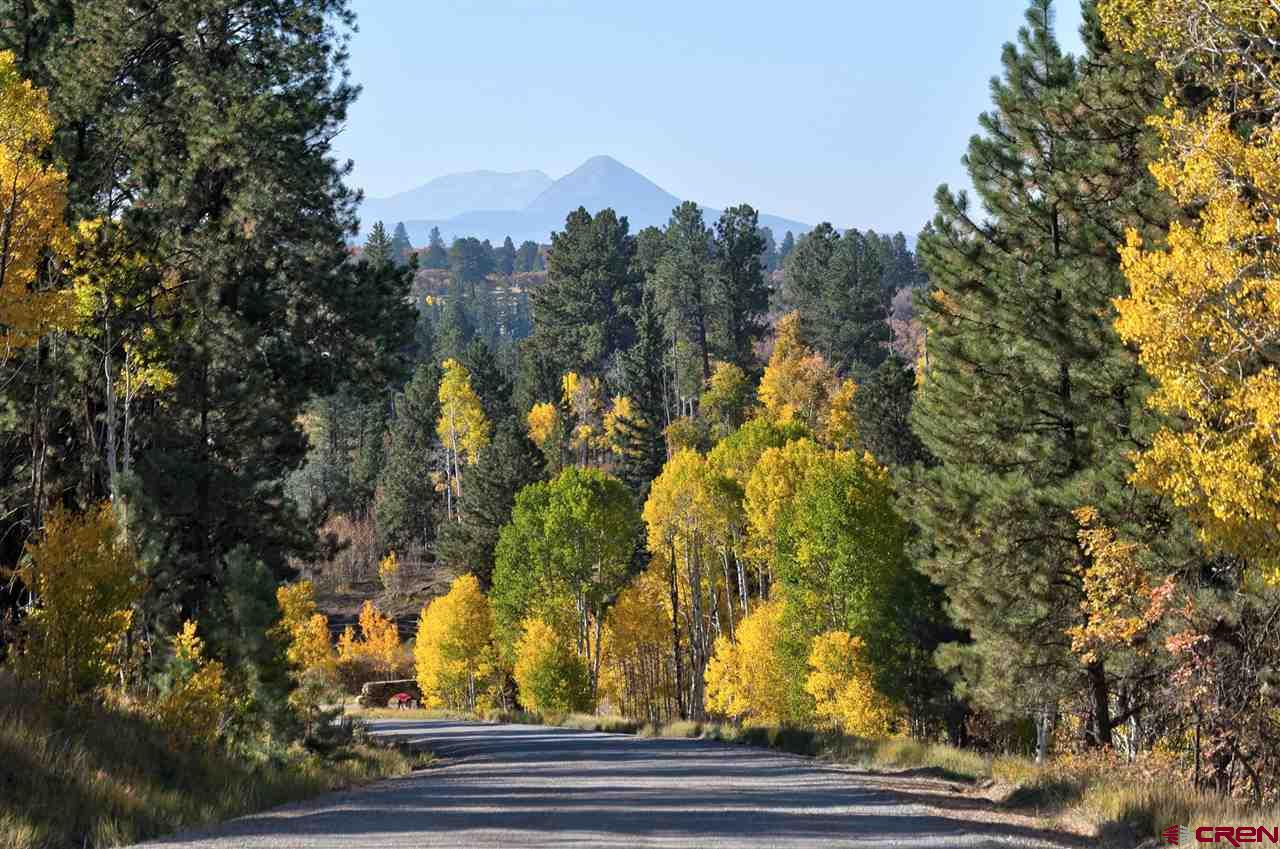 Lot 6 Sage Grouse Road Placerville, CO 81430 - Photo 5 of 10 Gallery Image 5
