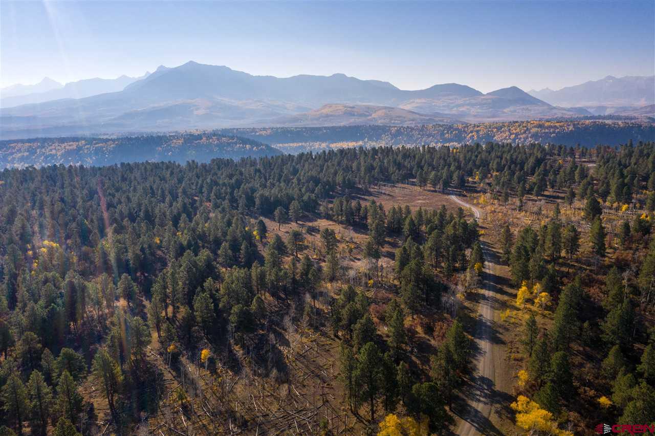 Lot 6 Sage Grouse Road Placerville, CO 81430 - Photo 6 of 10 Gallery Image 6