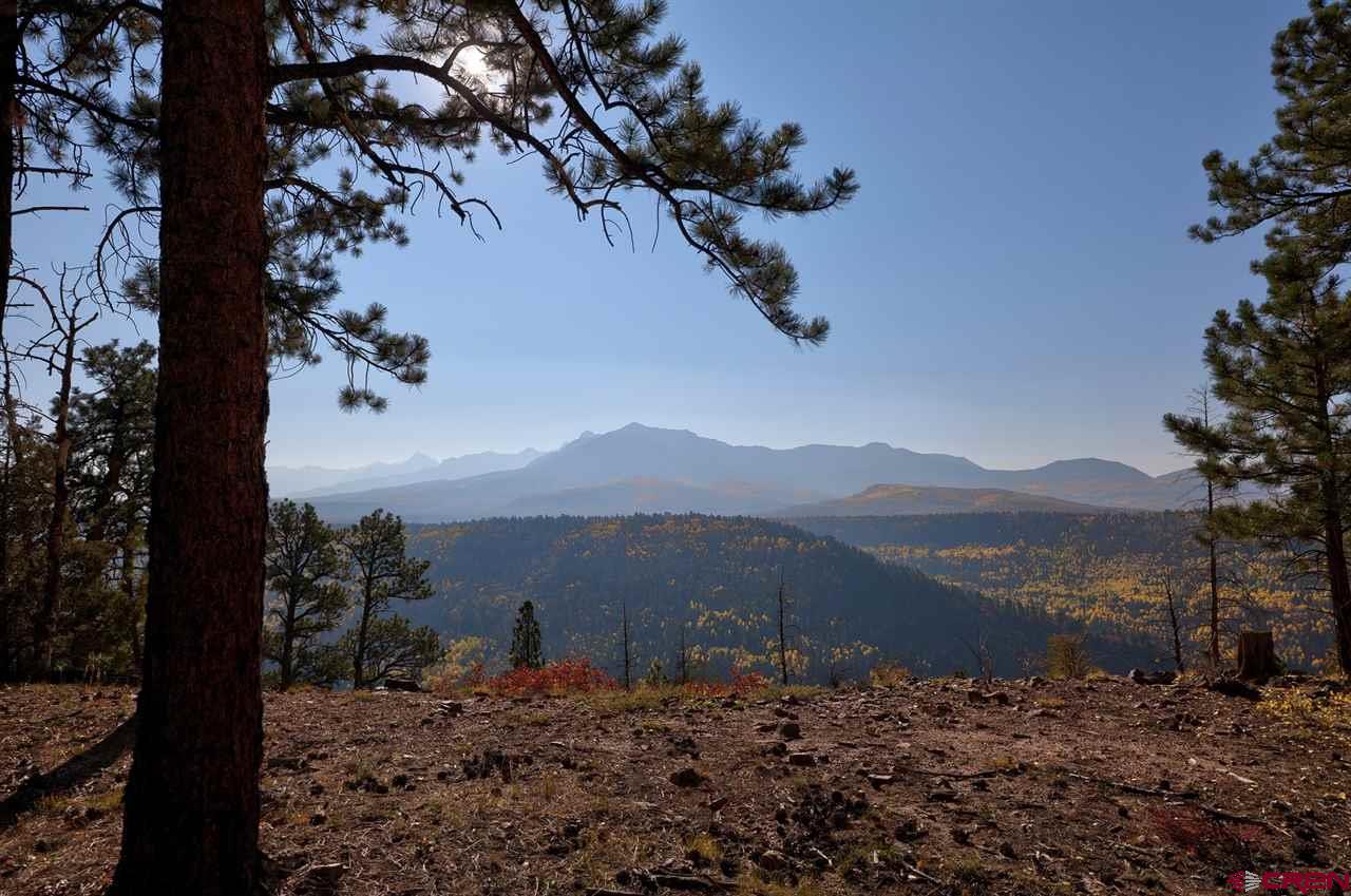 Lot 6 Sage Grouse Road Placerville, CO 81430 - Photo 8 of 10 Gallery Image 8
