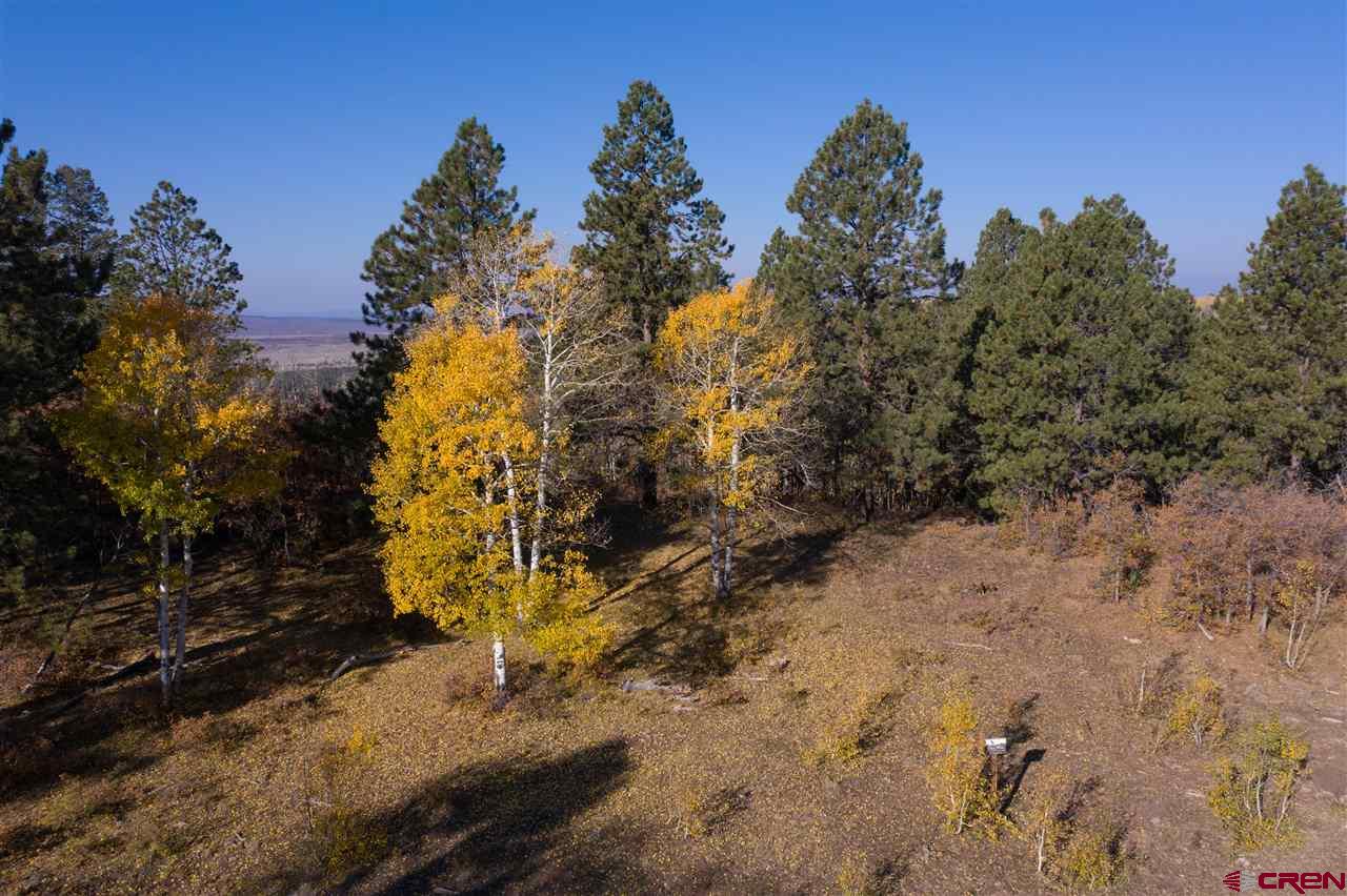 Lot 6 Sage Grouse Road Placerville, CO 81430 - Photo 9 of 10 Gallery Image 9